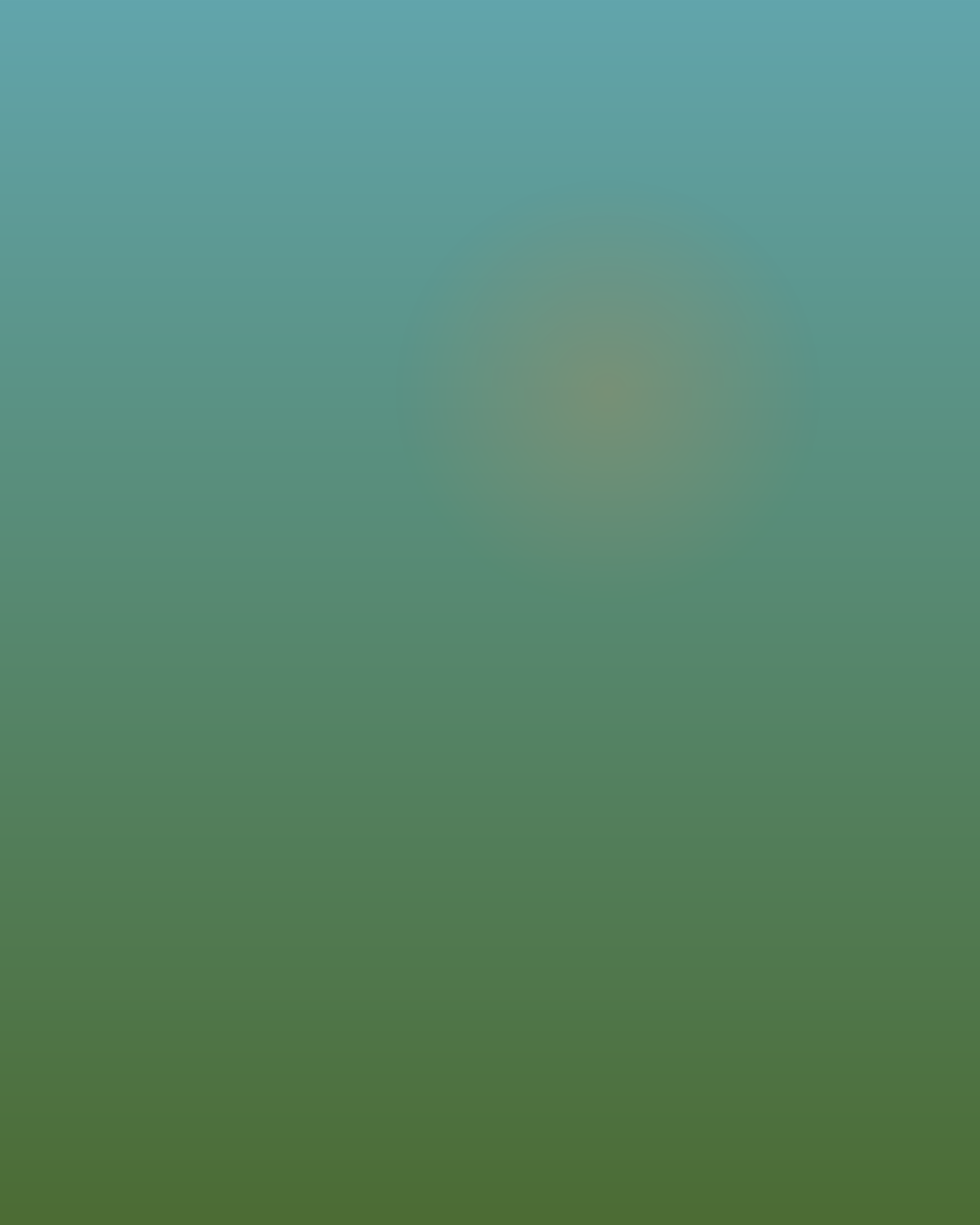 Beginner Tarz Embroidery Kit Detail 3